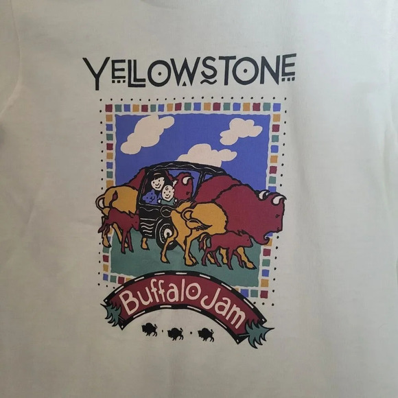 Vintage Oneita Yellowstone Buffalo Graphic Tee Shirt Youth Small Single Stitch - Picture 3 of 6